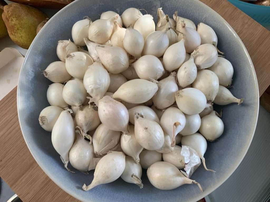 Steeds als we bij de groenteman komen liggen ze me aan te staren; verse zilveruitjes. Eerder maakte ik al gekarameliseerde zilveruitjes in de slowcooker en in de koekenpan. Nu staat op het programma zilveruitjes zelf inmaken. Een experiment. Maar waarom zou het het willen, zelf inmaken?