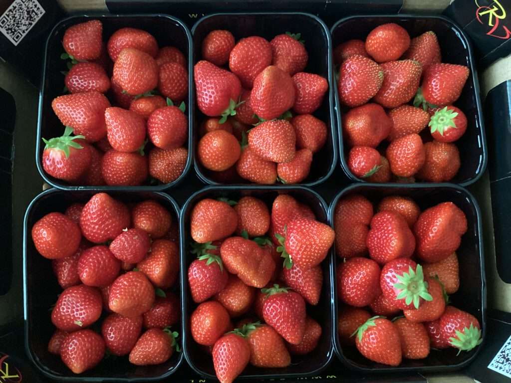 Verse aardbeien uit de voorraadkast van de Romeinen, de Betuwe