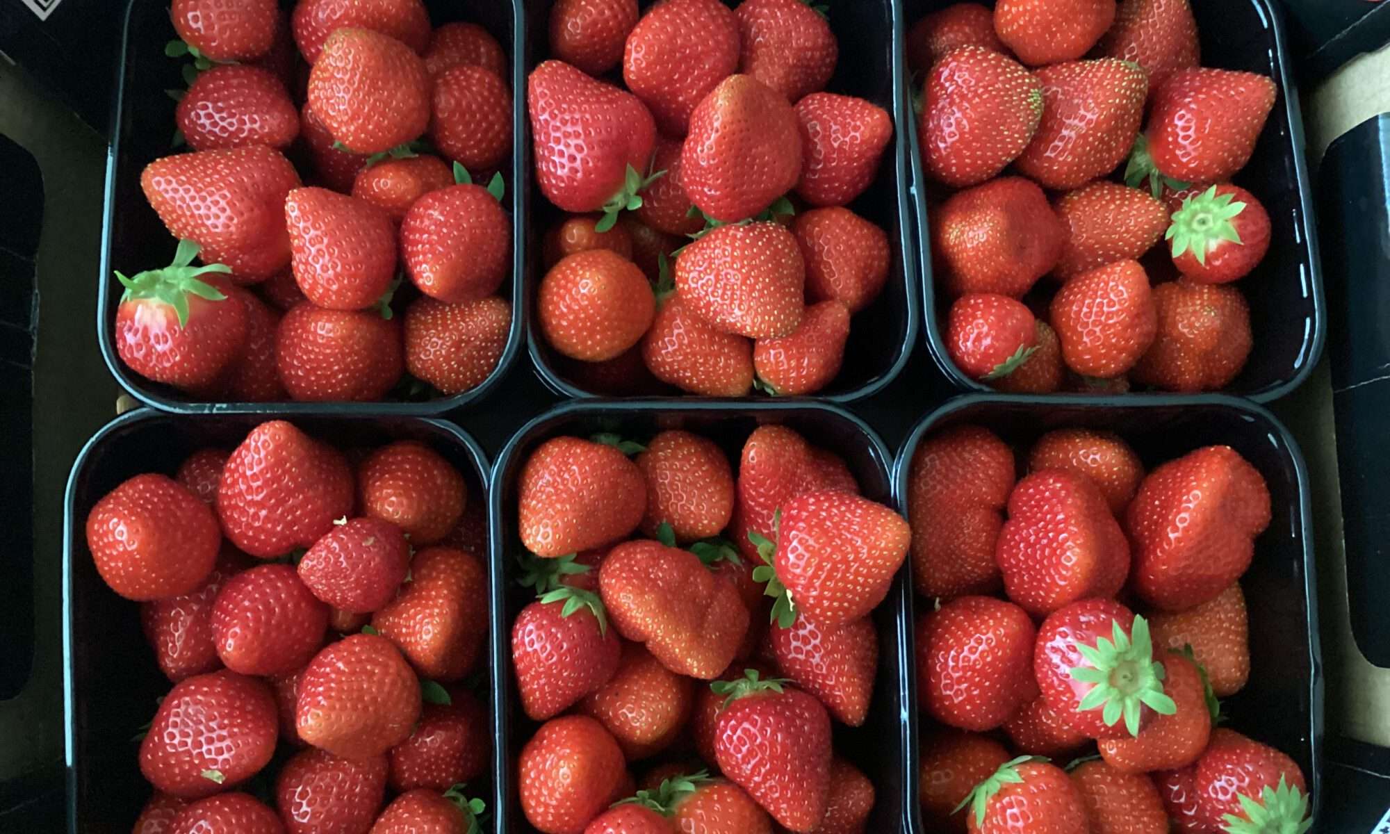 Verse aardbeien uit de voorraadkast van de Romeinen, de Betuwe